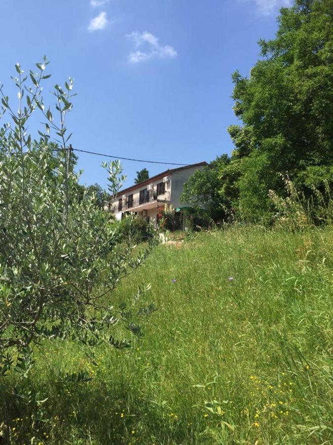 Apartment Dedo, Salara Farmhouse 코페르 외부 사진