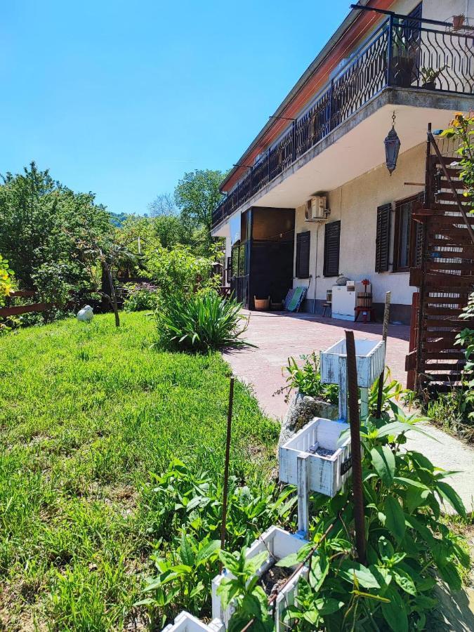 Apartment Dedo, Salara Farmhouse 코페르 외부 사진
